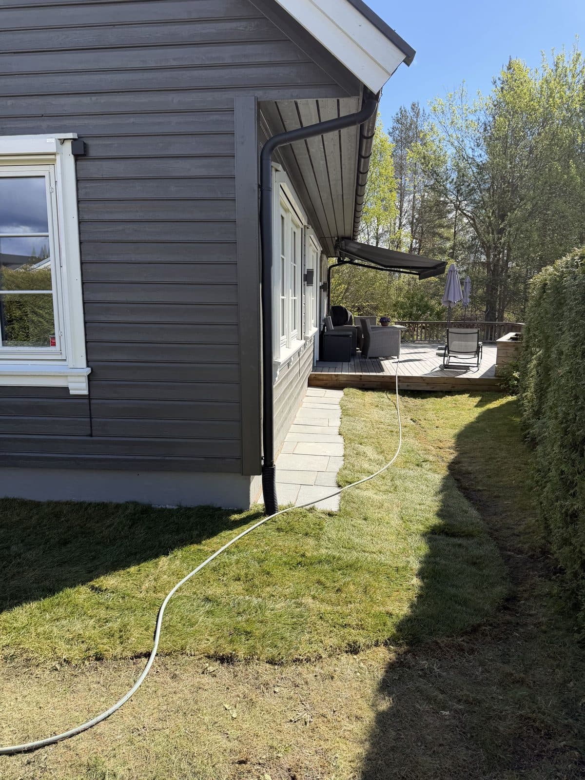 Ferdig plen langs siden av det grå huset, med en vannslange for vanning